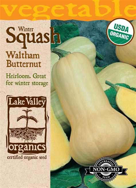squash winter waltham butternut item 876 lake valley seed