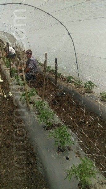 Malla Tomatera Hortomallas™ El Soporte De Tu Cultivo