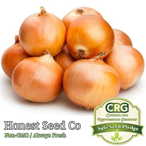 200 Sweet Yellow Onion Garden Seeds Honest Seed Co