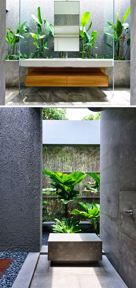 Some great choices for indoor house plants. This Singaporean House Completely Opens Up To The Backyard ...