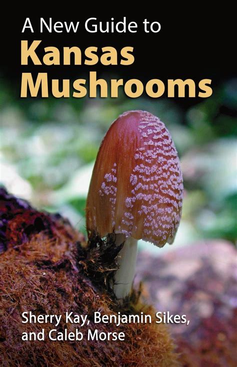 A New Guide To Kansas Mushrooms Nhbs Field Guides And Natural History