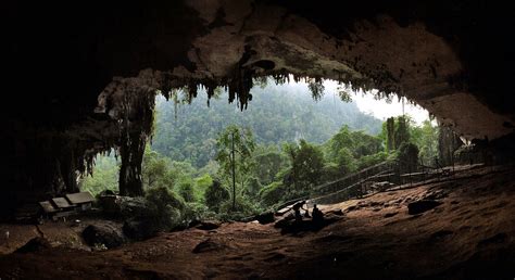 What Did Cave People Eat New Tech Used On Ancient Jawbones Tells The Story