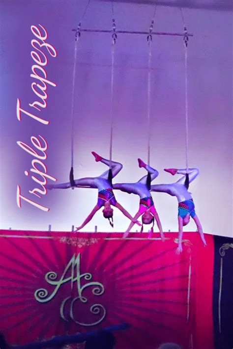 Triple Trapeze Trix Circus Your Safety Is Our Business