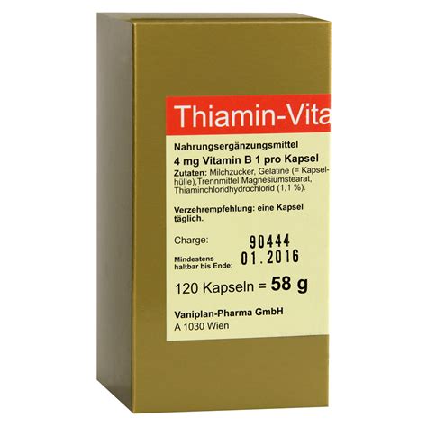 Thiamin, riboflavin, niacin, vitamin b6, folate, vitamin b12, pantothenic acid, biotin, and choline. THIAMIN Kapseln Vitamin B1 120 Stück online bestellen ...