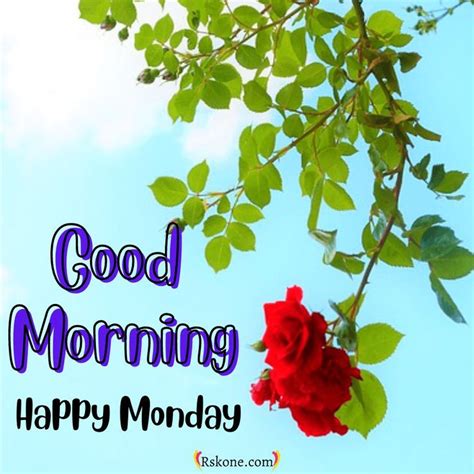 Happy Monday Images Good Morning Monday Images Good Morning Picture
