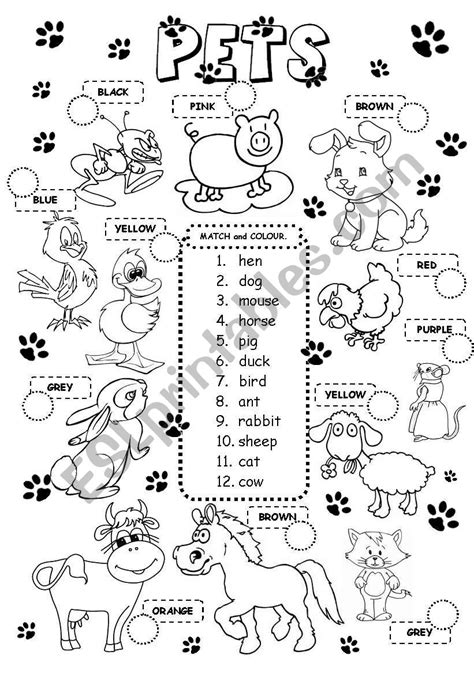Pets Worksheets Printables Lexias Blog