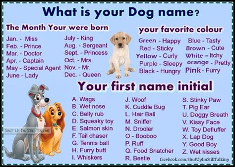 What Is Your Dog Name Funny Name Generator Dog Names Funny Names