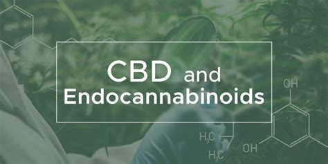 Blog — Cbd Benefits — We Are Canna Cbd Webshop