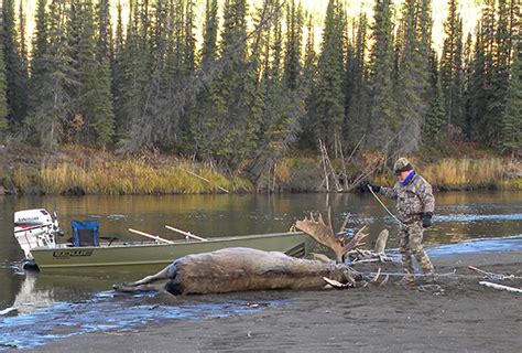 Alaska Yukon Moose Hunts Macmillan River Adventures