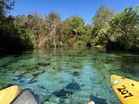 Weeki Wachee Springs Kayaking with Manatees | CamdenLiving.com