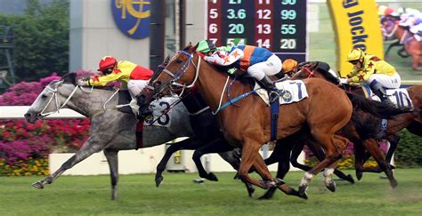 The best websites voted by users. Horse Racing in Hong Kong - HK Expats