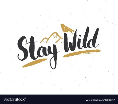 Stay Wild Lettering Handwritten Sign Hand Drawn Vector Image