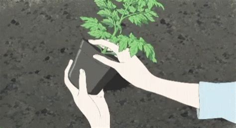 What to gift a plant lover. Anime Plant GIFs | Tenor