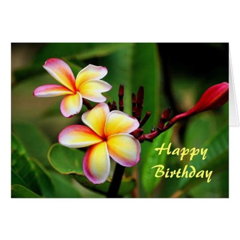Maui Plumeria Flowers Birthday Card Zazzle