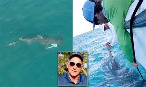 Greg Norman Catches Hammerhead Shark Thats Close To 15ft Long After It