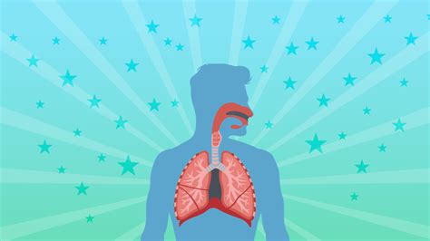 Respiratory System Facts For Kids 5 Great Facts About The Respiratory