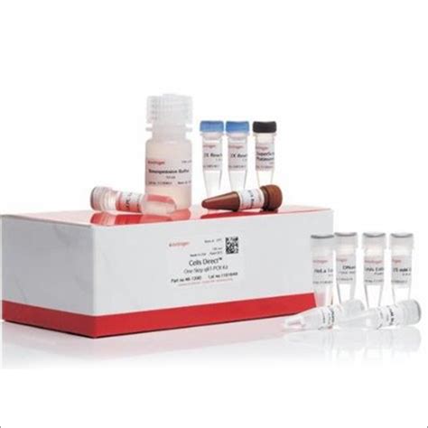 Rt And Pcr Test Kit At Best Price In New Delhi Vitika Industries