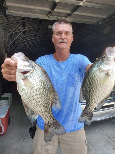 13 Best Crappie Fishing Lakes In Florida Speckled Perch Best