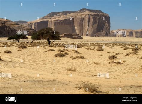 Madain Saleh Archaeological Site With Nabatean Tombs In Saudi Arabia