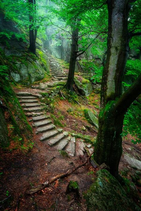 A Foggy Landscape Of Stairs From Hellish Valley To Chojnik Castle In