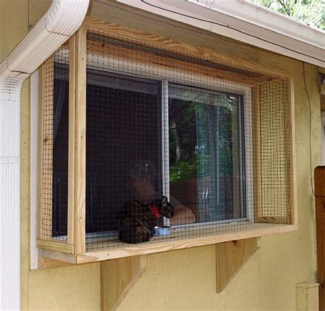 Building your own cat window box can be a simple do it yourself project and bring great reward to your indoor cat. The Cat Carpenter Window Catios | Cat window, Cat patio, Outdoor cat enclosure