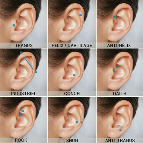 Daith Piercing Ear Piercing Names Guys Ear Piercings Ear Piercings Chart Female Piercings