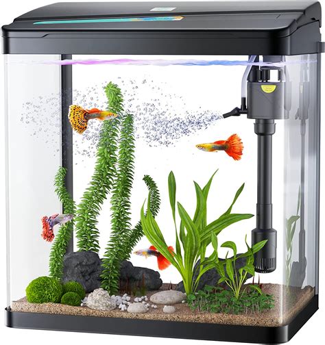 Pondon Fish Tank 3 Gallon Glass Aquarium 3 In 1 Fish Tank With Filter
