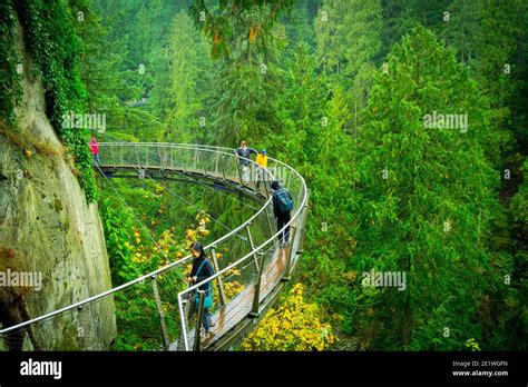 Grouse Mountain Capilano Suspension Bridge Park 2023 Vancouver Viator