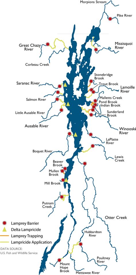 Ais In The Lake Lake Champlain Basin Program