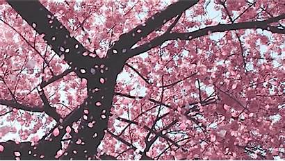 Cherry Blossom Blossoms Gifts Colorful Dark Brown