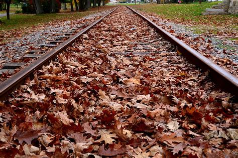 Autumn Rail Railroad Autumn Leaves Train Tracks Hd Wallpaper Peakpx