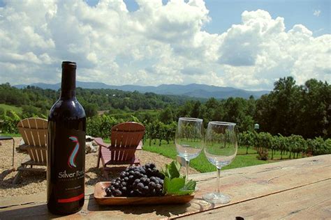 Top 12 Wineries And Winery Tours Near Asheville Asheville North