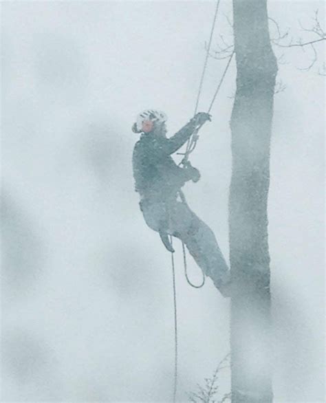 Is It Safe To Take On Hazardous Tree Removal In Winter Case Mountain