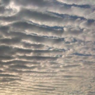 Altostratus Undulatus Clouds Meteorology Illusions