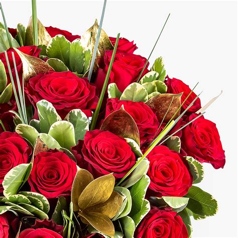 Luxury 24 Roses Haute Florist