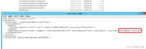 Solved Asp Net Core Iis Error Error Asp Net Core App Failed To Start Programmerah