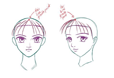 How To Draw Bangs Anime Bangs Pigtails And Ponytails Step 1 Books