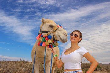 Hit the dusty desert roads to explore the mountains and find some a camel ride on the beach of course! The 10 Best Los Cabos Tours, Excursions & Activities 2021