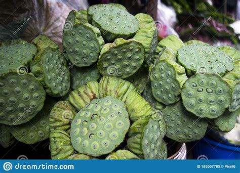 Bouquet Of Fresh Lotus Seed Pod Head Stock Image Image Of Market Agriculture 185007785