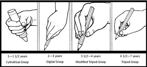 Why Do Occupational Therapists Correct Pencil Grip Real Therapy