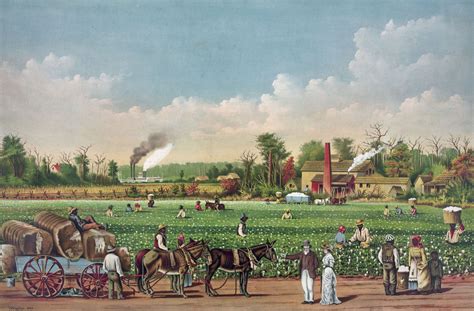 Plantation Sugar Cane Cotton And Tobacco Britannica