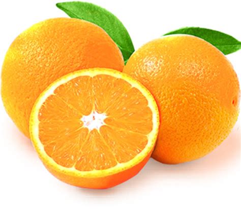 Valencia Oranges Cairo Fruit