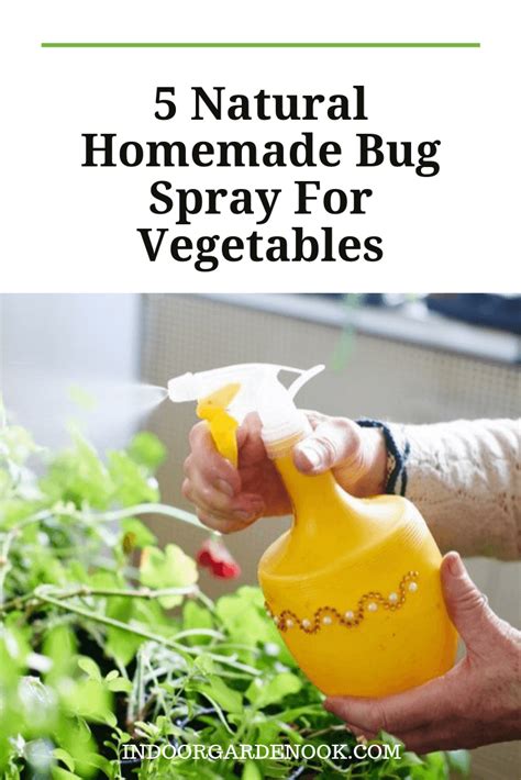 How To Make Natural Homemade Bug Spray For Vegetables Indoor Garden