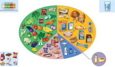 Eatwell Plate 2023 SMMMedyam Com