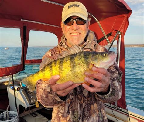 New State Record Yellow Perch Recorded Pennwatch