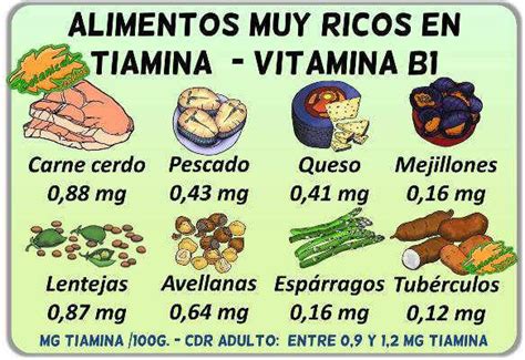 Los 10 Alimentos Más Ricos En Tiamina Vitamina B1