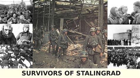 Avis Sur Survivors Of Stalingrad 2008 Senscritique