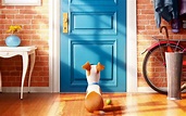 The Secret Life of Pets Movie Wallpapers | Wallpapers HD