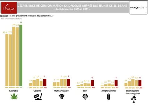 Cannabis En France Légalisation Effet Comment Se Sevrer