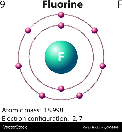 Diagram Representation Element Fluorine Royalty Free Vector